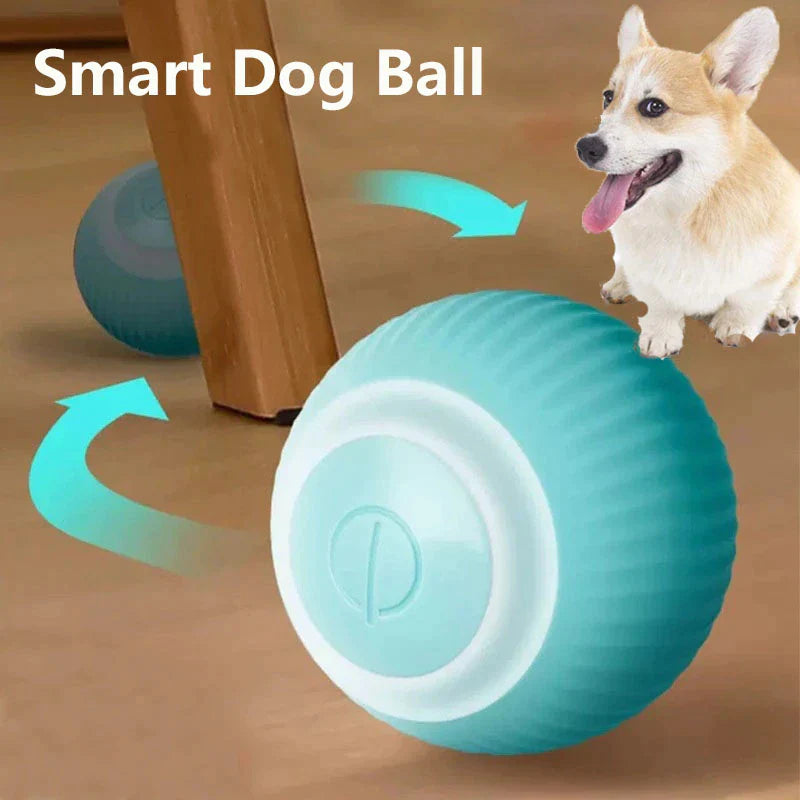 Smart Dog Ball