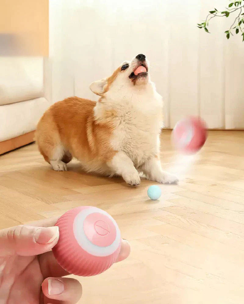 Smart Dog Ball